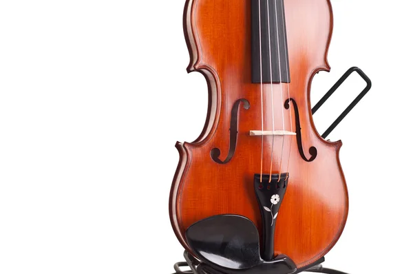 Крупный план скрипки на белом фоне — стоковое фото