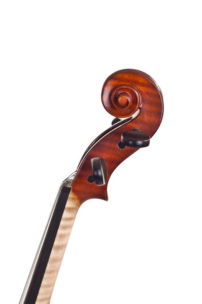 Шея и свиток скрипки на белом фоне
