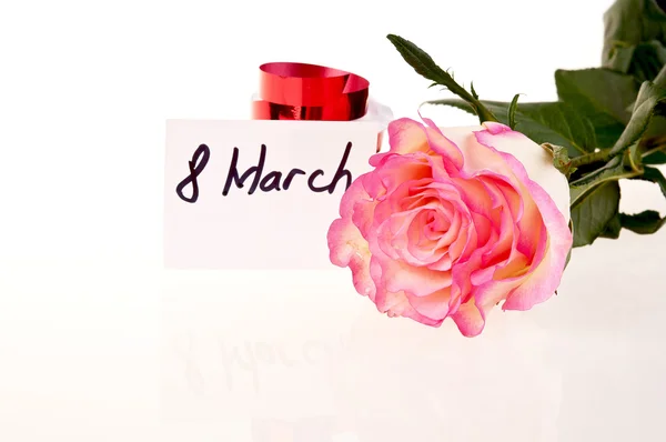 Pink rose and ribbon - march 8 — Stock Photo, Image