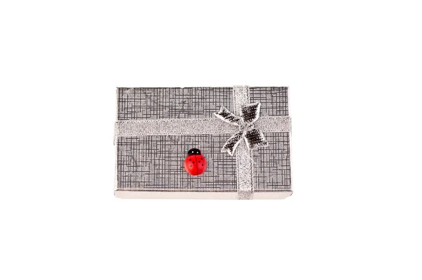 Silvery gift box with ladybug — Stock Photo, Image