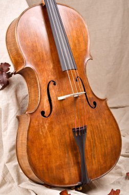 Close up of a violoncello on beige background clipart