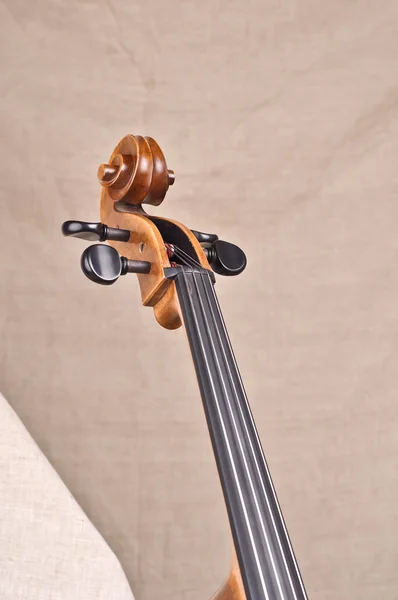 Шея и свиток виолончели — стоковое фото