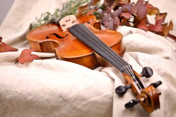 Close-up de um violino e folhas de outono — Fotografia de Stock