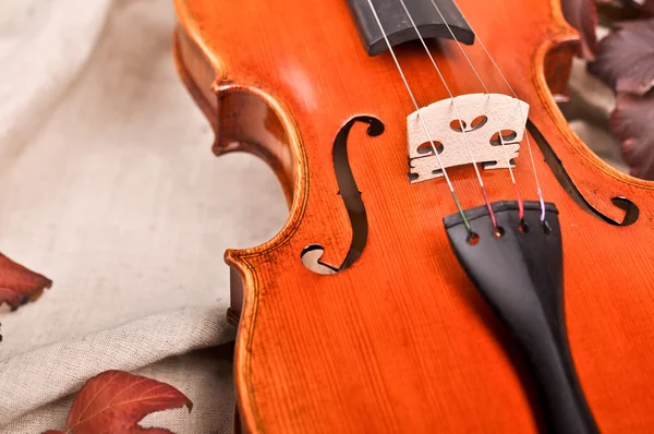 Close-up de um violino e folhas de outono — Fotografia de Stock