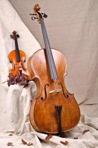 Viool en cello op de beige achtergrond — Stockfoto