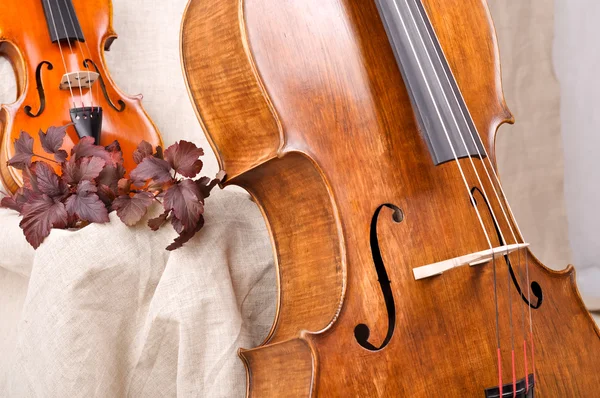 Violin and cello on the beige background — Stock Photo, Image