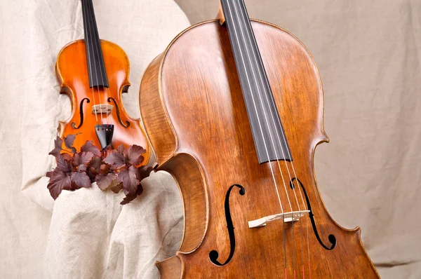 Housle a violoncello na béžové pozadí — Stock fotografie
