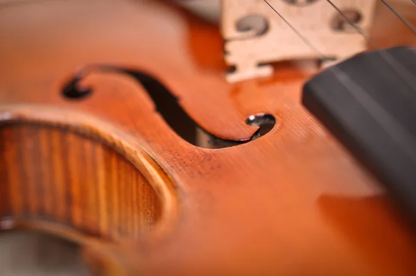 Violin details isolated on a brown background — Stock Photo, Image