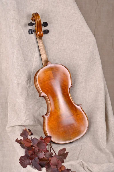 Violin back view isolated on beige background — Stock Photo, Image
