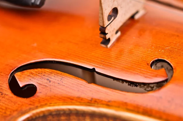 Detalhes do violino isolado em um fundo marrom — Fotografia de Stock