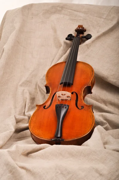 Violino em fundo bege — Fotografia de Stock