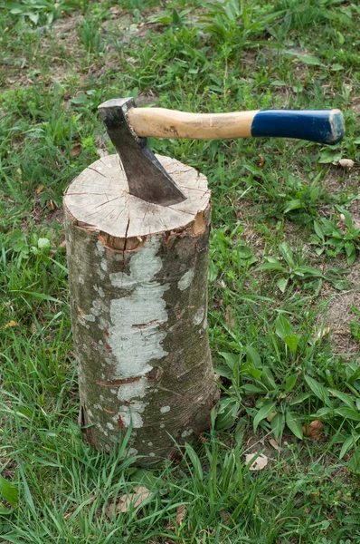 Gesneden log brandhout en oude bijl, milieu concept — Stockfoto