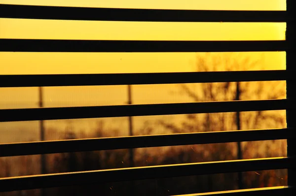 Zonsondergang door een hek — Stockfoto