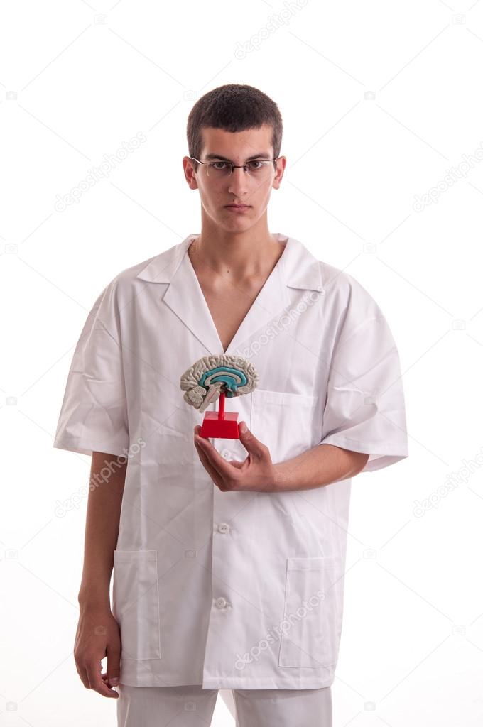Young doctor with brain model in his hands