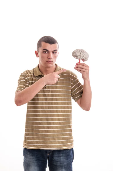 Hombre sosteniendo un modelo de cerebro humano y señalándolo — Foto de Stock