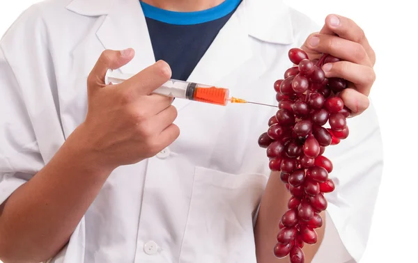 Esperimenti con i frutti dell'uva in laboratorio — Foto Stock