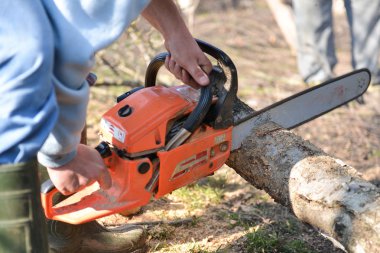 adam, chainsaw, ormansızlaşma kavramı ile ağacı keser. Seçici