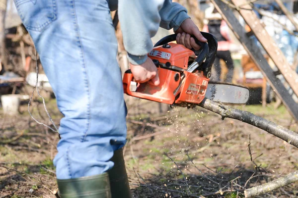 Lumberjack working with chainsaw, cutting wood. Selective focus — Stock Photo, Image