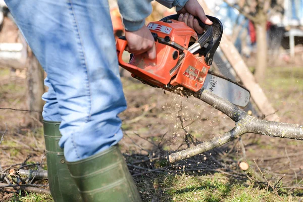 Lumberjack arbetar med motorsåg, styckning trä. selektiv inriktning — Stockfoto