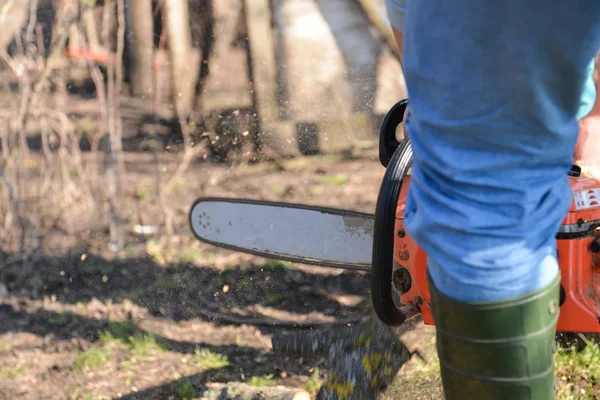 Taglialegna che lavora con motosega, tagliando il legno. Focus selettivo — Foto Stock