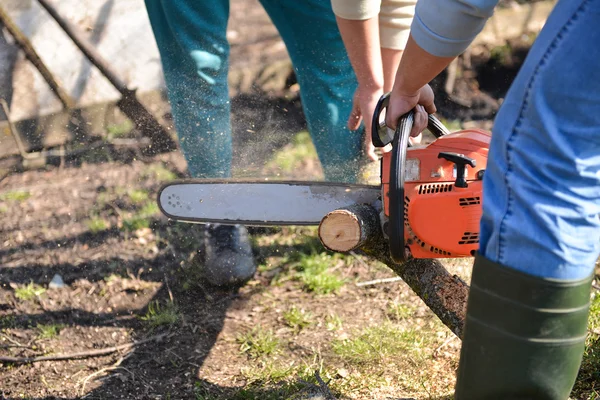 Taglialegna che lavora con motosega, tagliando il legno. Focus selettivo — Foto Stock