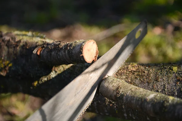 Man skär grenen av ett träd med en såg. storstädning av — Stockfoto