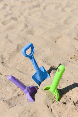 bir güneşli kum mavi, yeşil ve mor beach kürek sıkışmış