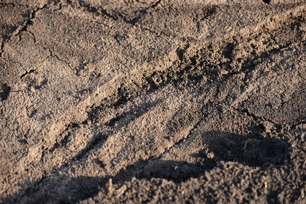 Tierra seca, falta de vegetación debido a la sequía en un año sin ra — Foto de Stock