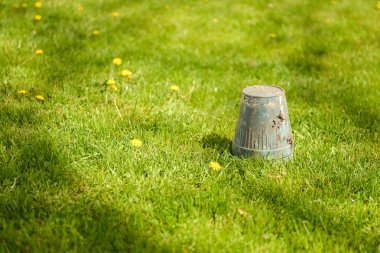 Bahar bahçe - devrik çimen, copyspac baş aşağı tencereye