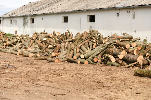 Stapel brandhout in de buurt van de muur van een oud gebouw — Stockfoto