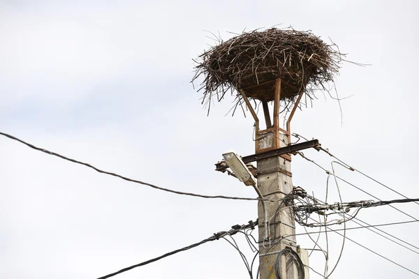 Пустое гнездо аистов на фонарном столбе — стоковое фото
