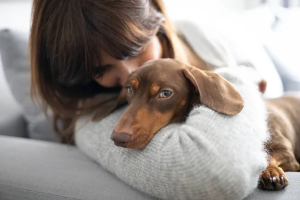 Ragazza Accarezzare Piccolo Cane Bassotto Sul Divano Casa — Foto Stock