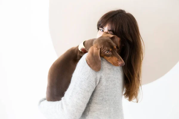 Evdeki kanepede küçük bir Dachshund köpeğini okşayan kız..