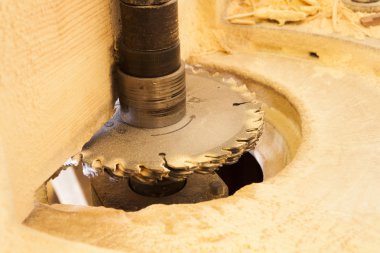 Daire testereler için ağaç