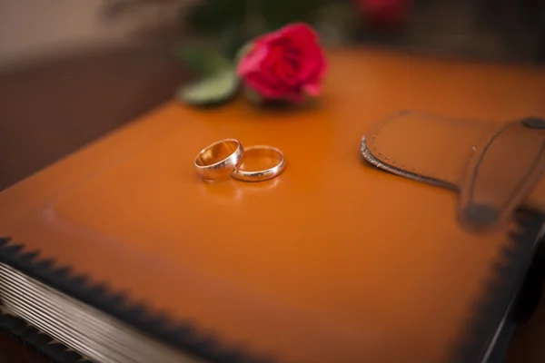 Two wedding rings close up — Stock Photo, Image