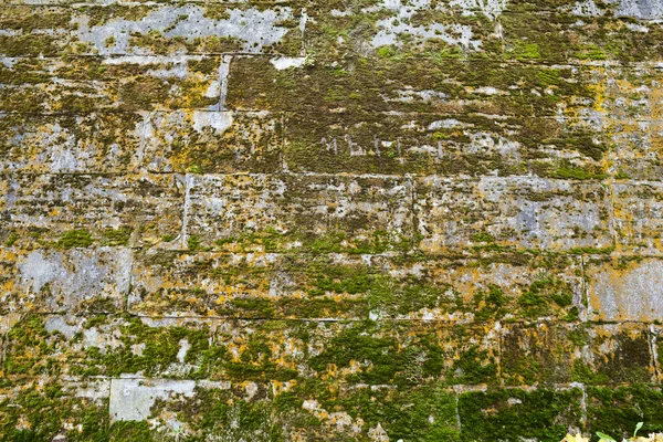 Gamla väggen textur för bakgrund — Stockfoto