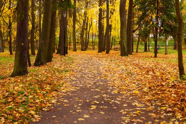 Herfstpark — Stockfoto