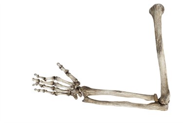Beyaz arka plan üzerinde izole insan elinin yaşlı kemikler