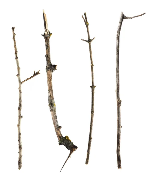 Sticks and twigs isolated on white background — Stock Photo, Image
