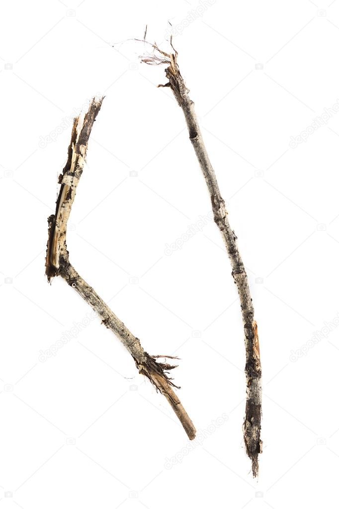 Sticks and twigs isolated on white background