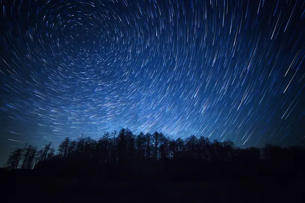 夜空、スター トレイルや、森林 — ストック写真