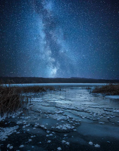 美しい夜空 天の川 星の軌跡と木 — ストック写真