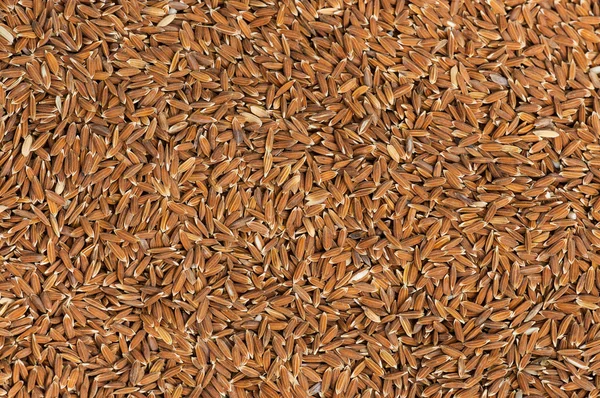 Tekstura ryż niełuskany — Zdjęcie stockowe