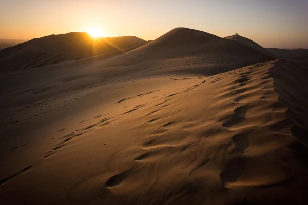 Dune 7, Namíbia — Stock Fotó