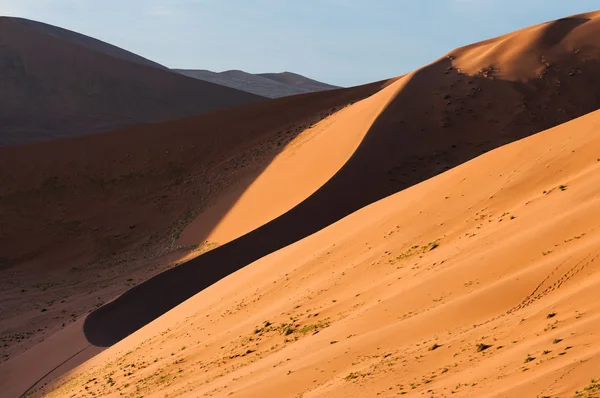 Namib desert, Namibia — Stock Photo, Image