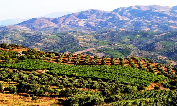 mount Panorama Yunanistan, Girit Adası