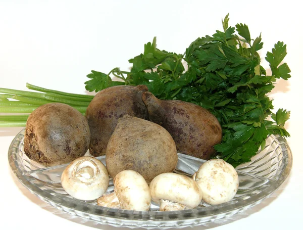 Pancar kökü