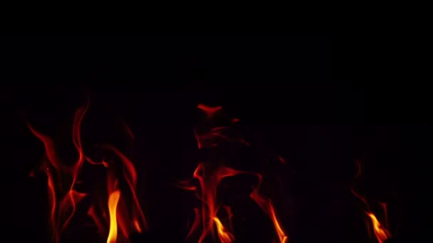 Flames on black background — Stock Video