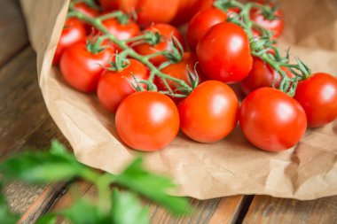 sebze grubu arasında