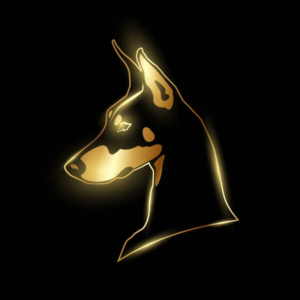 Gold Doberman Head Logo Black Background Strict Dog Golden Silhouette — Archivo Imágenes Vectoriales
